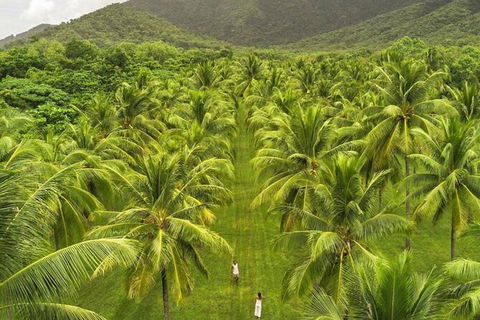 SHUTTLE - Thala Beach And Turtle Cove From Port Douglas (Return Transfer) - Lennox Head Accommodation 1