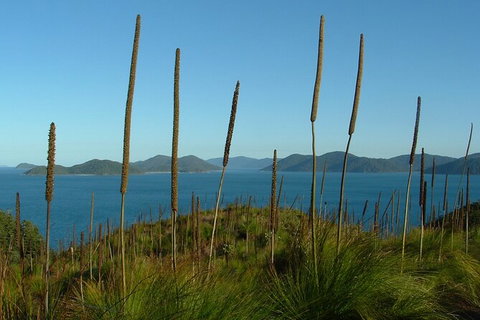 7-Day Private Sea Kayaking In Whitsundays - Lennox Head Accommodation 8