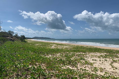 Hinchinbrook Island Tour - Lennox Head Accommodation 5