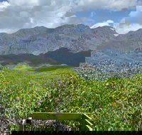 Hinchinbrook Island Tour - Lennox Head Accommodation