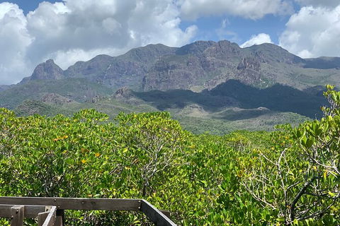 Hinchinbrook Island Tour - Lennox Head Accommodation 0