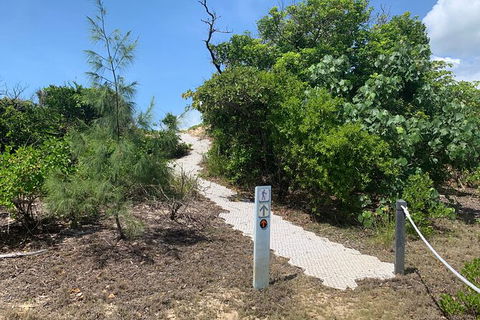 Hinchinbrook Island Tour - Lennox Head Accommodation 1