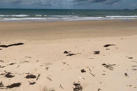 Hinchinbrook Island Tour - Lennox Head Accommodation 6