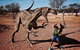 8-Day Outback Experience From Queensland - thumb 14