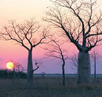 8-Day Outback Experience from Queensland - Lennox Head Accommodation