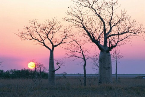 8-Day Outback Experience From Queensland - Lennox Head Accommodation 0