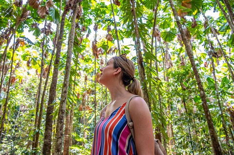 5 Day Australia Retreat: Queensland Daintree - Lennox Head Accommodation 3