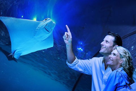 Cairns Aquarium Tour By Twilight With Drink And Appetiser - Lennox Head Accommodation 0