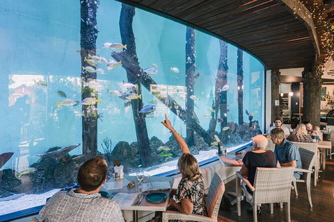 Cairns Aquarium Tour By Twilight With Drink And Appetiser - Lennox Head Accommodation 1