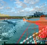 Sandy Straits Scenic  Wildlife Cruise - Lennox Head Accommodation