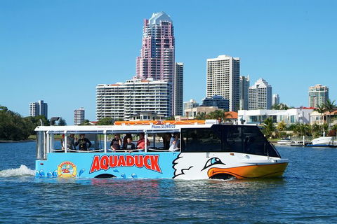 Aquaduck & Paradise Jet Boating Combo - Lennox Head Accommodation 5