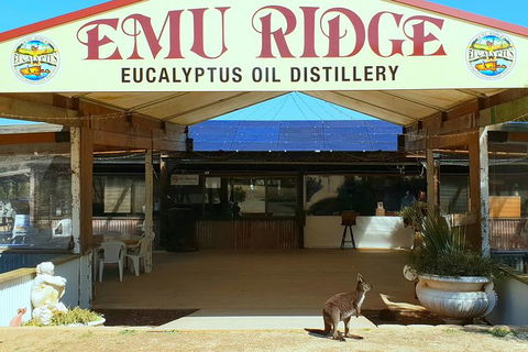 Full-Day Kangaroo Island Safari From Penneshaw - Lennox Head Accommodation 3