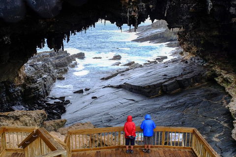Full-Day Kangaroo Island Safari From Penneshaw - Lennox Head Accommodation 1