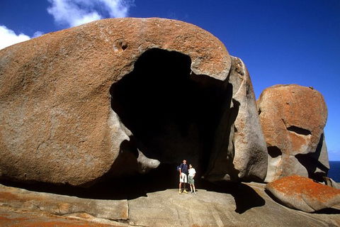 Full-Day Kangaroo Island Safari From Penneshaw - Lennox Head Accommodation 0