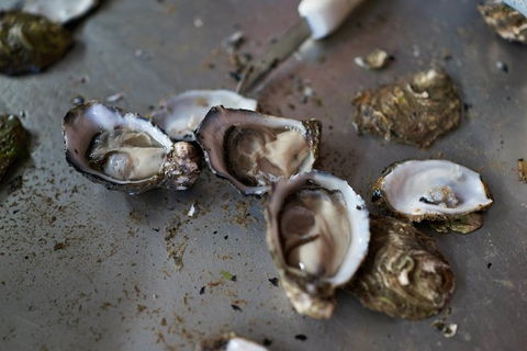 Fine Flavours - Full Day Kangaroo Island Food & Wine Tour - Lennox Head Accommodation 10