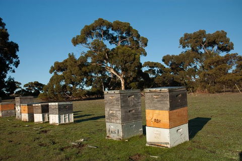 Fine Flavours - Full Day Kangaroo Island Food & Wine Tour - Lennox Head Accommodation 5