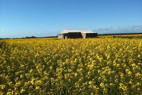 Fine Flavours - Full Day Kangaroo Island Food & Wine Tour - Lennox Head Accommodation 11