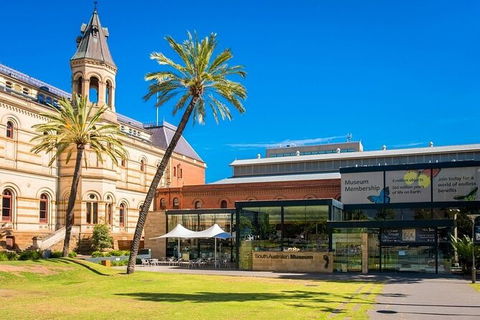 Arrival Private Transfers: Adelaide Airport ADL To Adelaide In Business Car - Lennox Head Accommodation 6