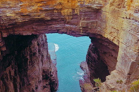 4-Day Fabulous Tasmania Tour: Wineglass Bay, Port Arthur, Devils & Bruny Island - Lennox Head Accommodation 6
