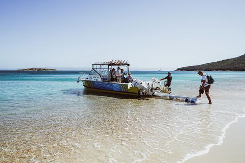Sea & Explore Wineglass Bay & Freycinet National Park - Cruise & Walk - Lennox Head Accommodation 3