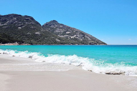 Sea & Explore Wineglass Bay & Freycinet National Park - Cruise & Walk - Lennox Head Accommodation 4