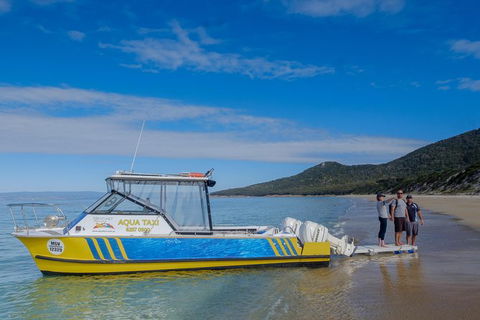Sea & Explore Wineglass Bay & Freycinet National Park - Cruise & Walk - Lennox Head Accommodation 7