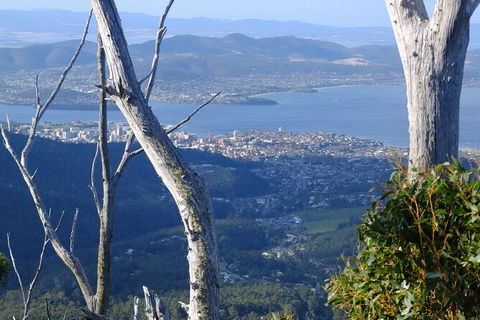 Mt. Wellington Morning Hike + Afternoon Beer & History Walk - Lennox Head Accommodation 10