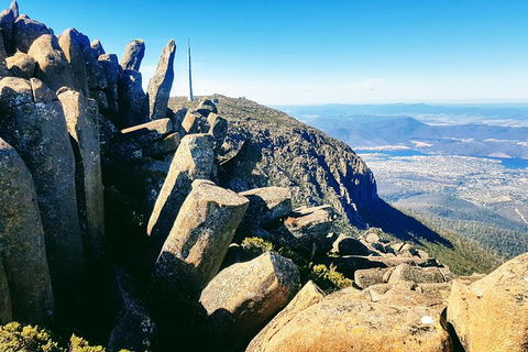 Mt. Wellington Morning Hike + Afternoon Beer & History Walk - Lennox Head Accommodation 11