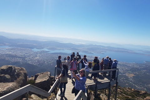 Mt. Wellington Morning Hike + Afternoon Beer & History Walk - Lennox Head Accommodation 2