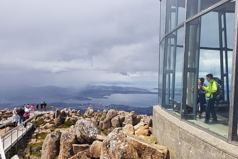 Mt. Wellington Morning Hike + Afternoon Beer & History Walk - Lennox Head Accommodation 12
