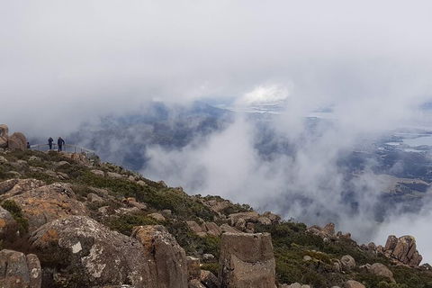 Mt. Wellington Morning Hike + Afternoon Beer & History Walk - Lennox Head Accommodation 18