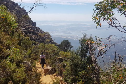 Mt. Wellington Morning Hike + Afternoon Beer & History Walk - Lennox Head Accommodation 1