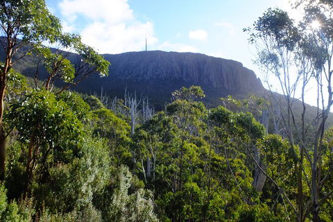 Mt. Wellington Morning Hike + Afternoon Beer & History Walk - Lennox Head Accommodation 4