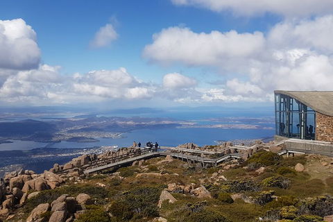 Mt. Wellington Morning Hike + Afternoon Beer & History Walk - Lennox Head Accommodation 3