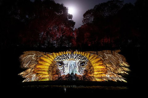 AURA At Sovereign Hill - Lennox Head Accommodation 1