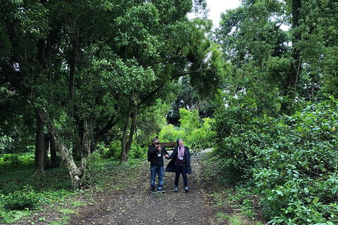 Alices Journeys Guided Walking Tours Of Daylesford - Lennox Head Accommodation 5