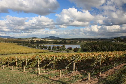 LGBT+ Friendly Full Day Yarra Valley & Dandenong Ranges Private Tour - Lennox Head Accommodation 0