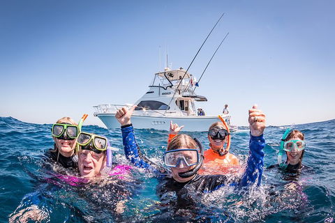 Life On Ningaloo Swimming Tour In Exmouth - Lennox Head Accommodation 4