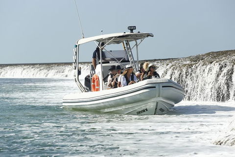 Cygnet Bay Explorer - Lennox Head Accommodation 8