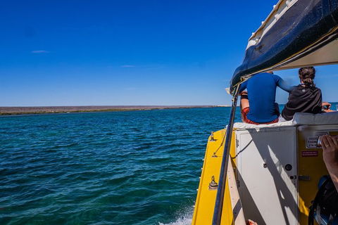 Ningaloo Immersion Private Charter - Lennox Head Accommodation 0