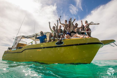 Ningaloo Immersion Private Charter - Lennox Head Accommodation 9