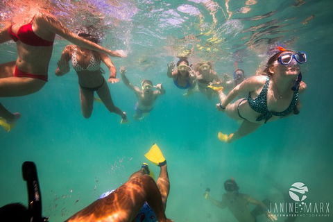 Ningaloo Immersion Private Charter - Lennox Head Accommodation 8
