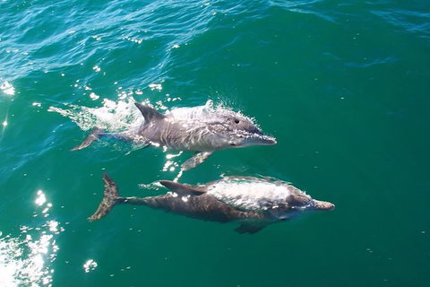 Sailing Kayak Adventure Through The Peel Harvey Estuary - Lennox Head Accommodation 1