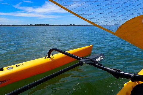 Sailing Kayak Adventure Through The Peel Harvey Estuary - Lennox Head Accommodation 3