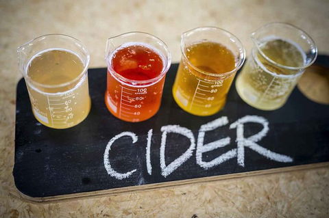 Bickley Valley Wine & Cider Tour - Premium Small Group Tour - Lennox Head Accommodation 1