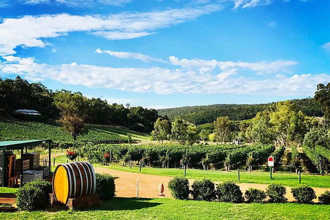 Bickley Valley Wine & Cider Tour - Premium Small Group Tour - Lennox Head Accommodation 0