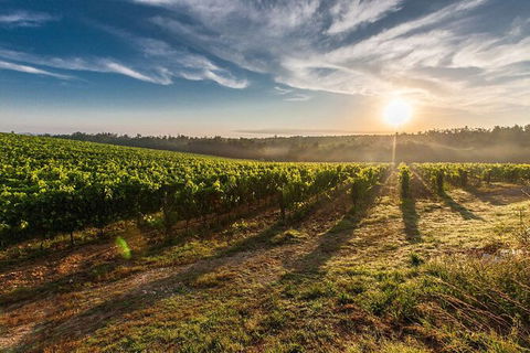 Perth To Margaret River Wine Tour - 2 Day Premium Boutique Wine Tour Experience - Lennox Head Accommodation 0