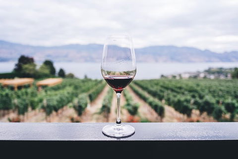 Full-Day Gourmet Wine Tour With Pick Up And Lunch - Lennox Head Accommodation 1