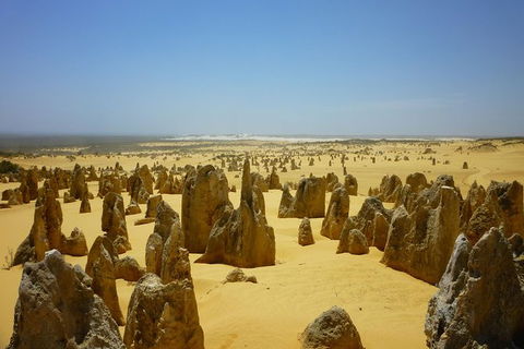 Pinnacles Desert Private Tour - Lennox Head Accommodation 5