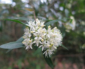 Booderee National Park - Lennox Head Accommodation 0